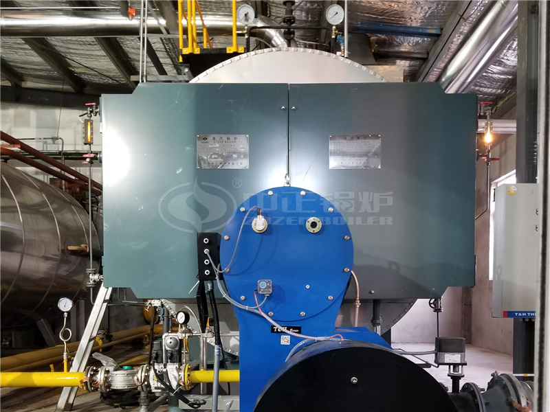 五洲丰农业10吨WNS系列冷凝式天然气蒸汽锅炉项目